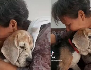 Donna dice addio al suo cagnolino e pubblica il video straziante