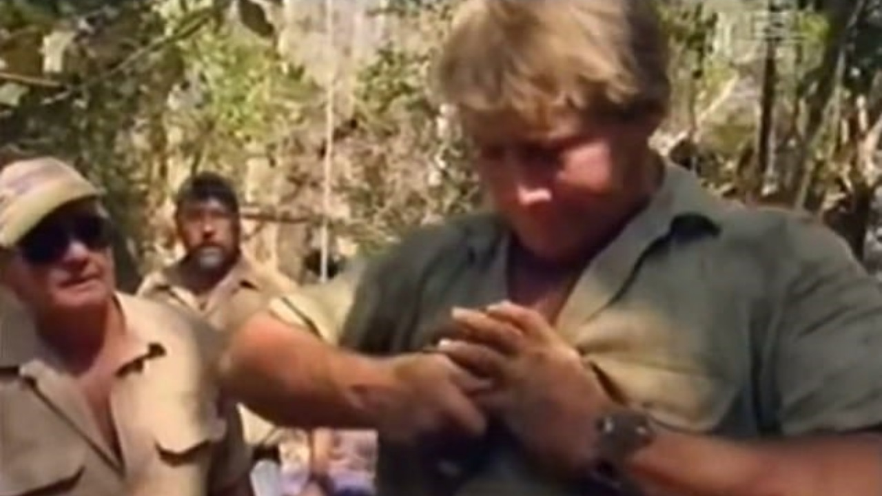 Steve Irwin con il dito rotto: il video ricompare sul web