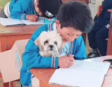 Bambino porta il cane a scuola per non lasciarlo solo