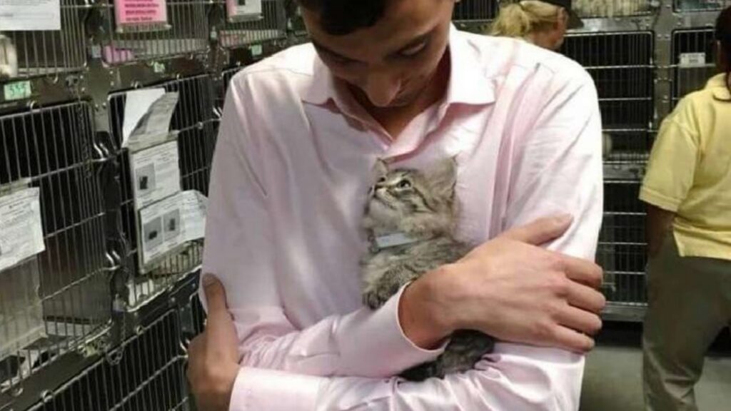 Gattino sceglie il suo proprietario gettandosi tra le braccia
