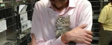 Gattino sceglie il suo proprietario gettandosi tra le braccia