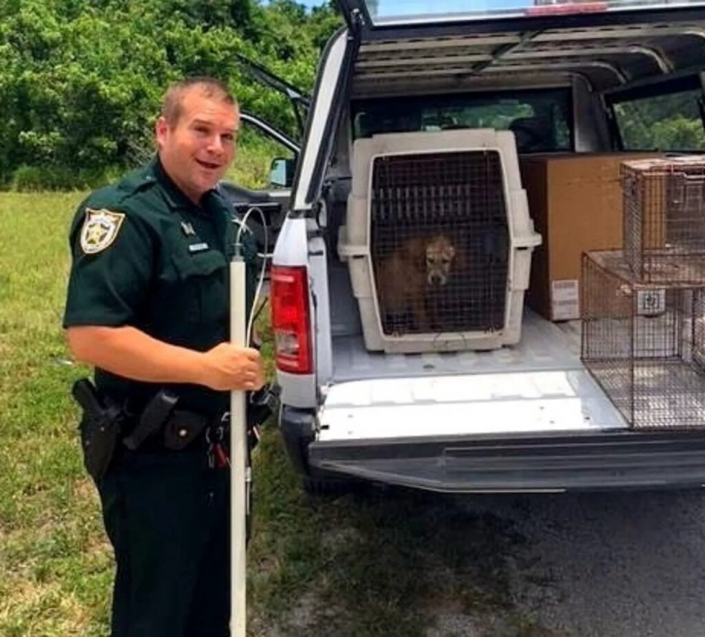 poliziotto salva un cucciolo