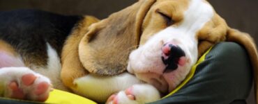 4 consigli sonno
