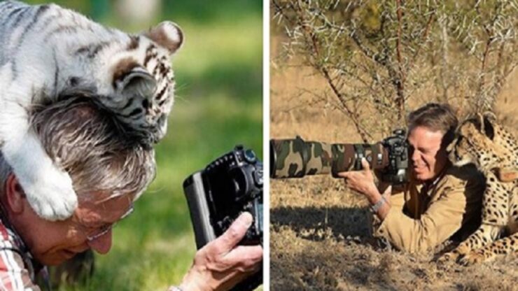 4 momenti foto