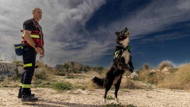 Cane pompiere trova una signora