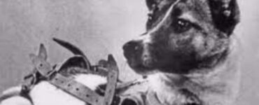 Laika: il primo cane sullo spazio
