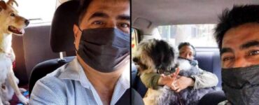 Taxi per animali: novità a Città del Messico