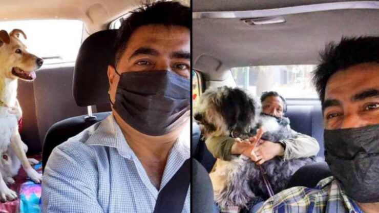Taxi per animali: novità a Città del Messico
