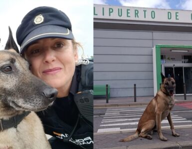Cane ha lavorato come protettore della legge per 9 anni
