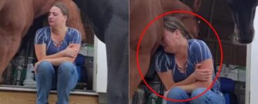 Cavallo consola la proprietaria che piange