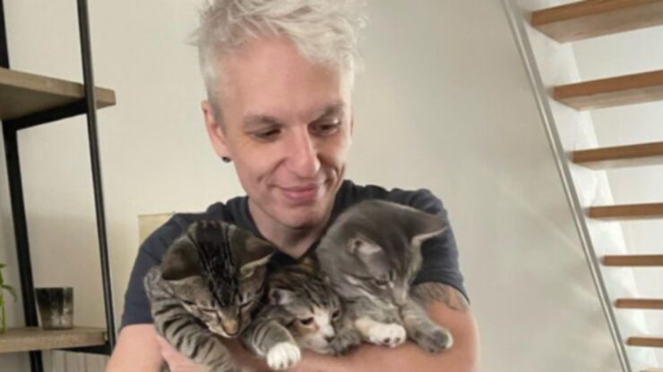 Uomo adotta una famiglia di gatti