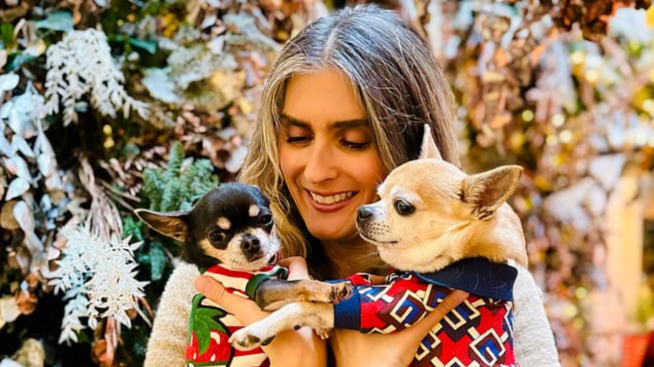 Yasmin El-Saie vizia i suoi Chihuahua