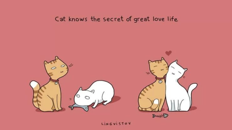 4 gatti amore