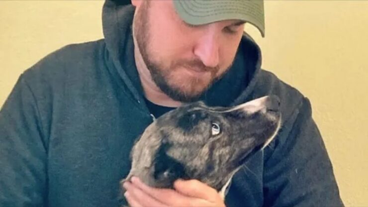 Cagnolina diventa co-pilota