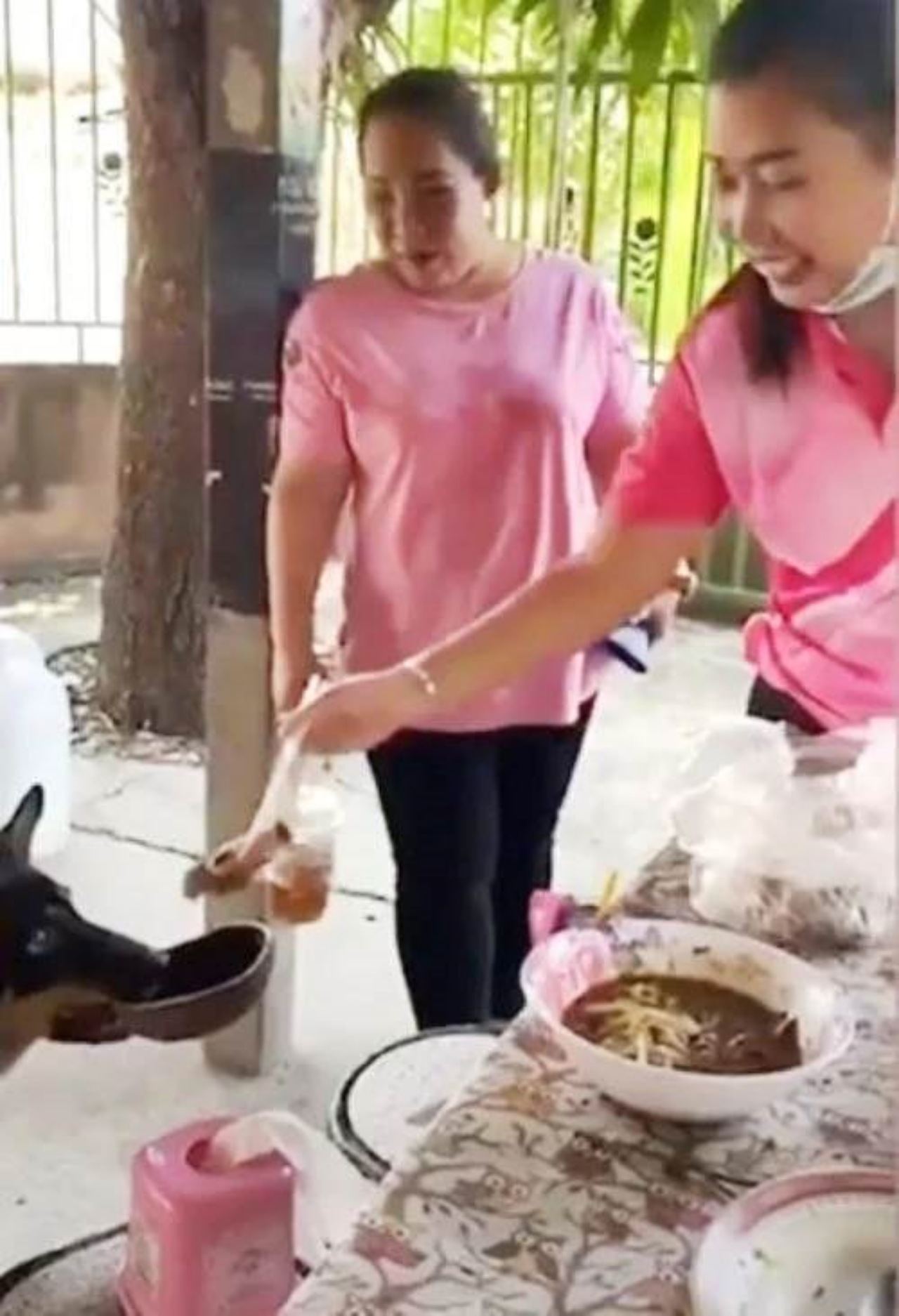 Cane con la ciotola in bocca elemosina del cibo