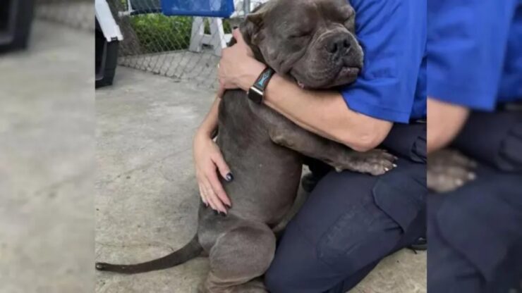Cane dà un abbraccio ai salvatori