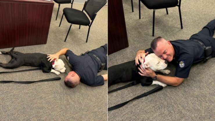Cane entra in polizia: diventa un ufficiale