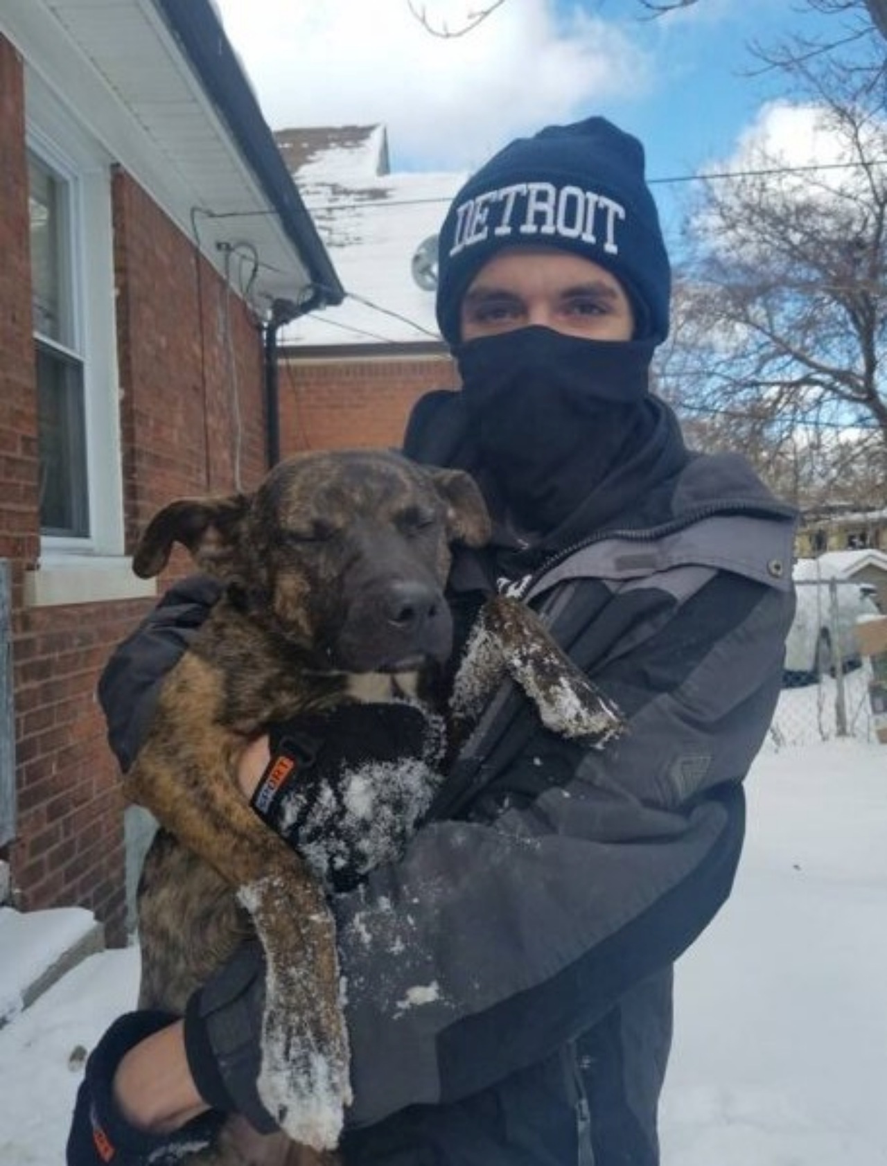 Cane sotto la neve: salvato da un vicino