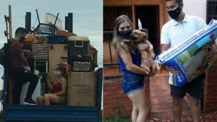 Padroni caricano il cane sul camion del trasloco