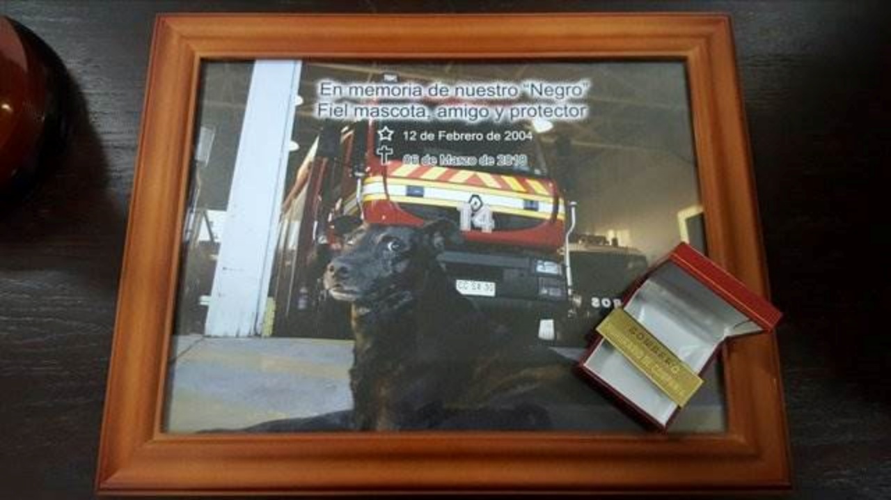 Vigili del fuoco onorano il cane