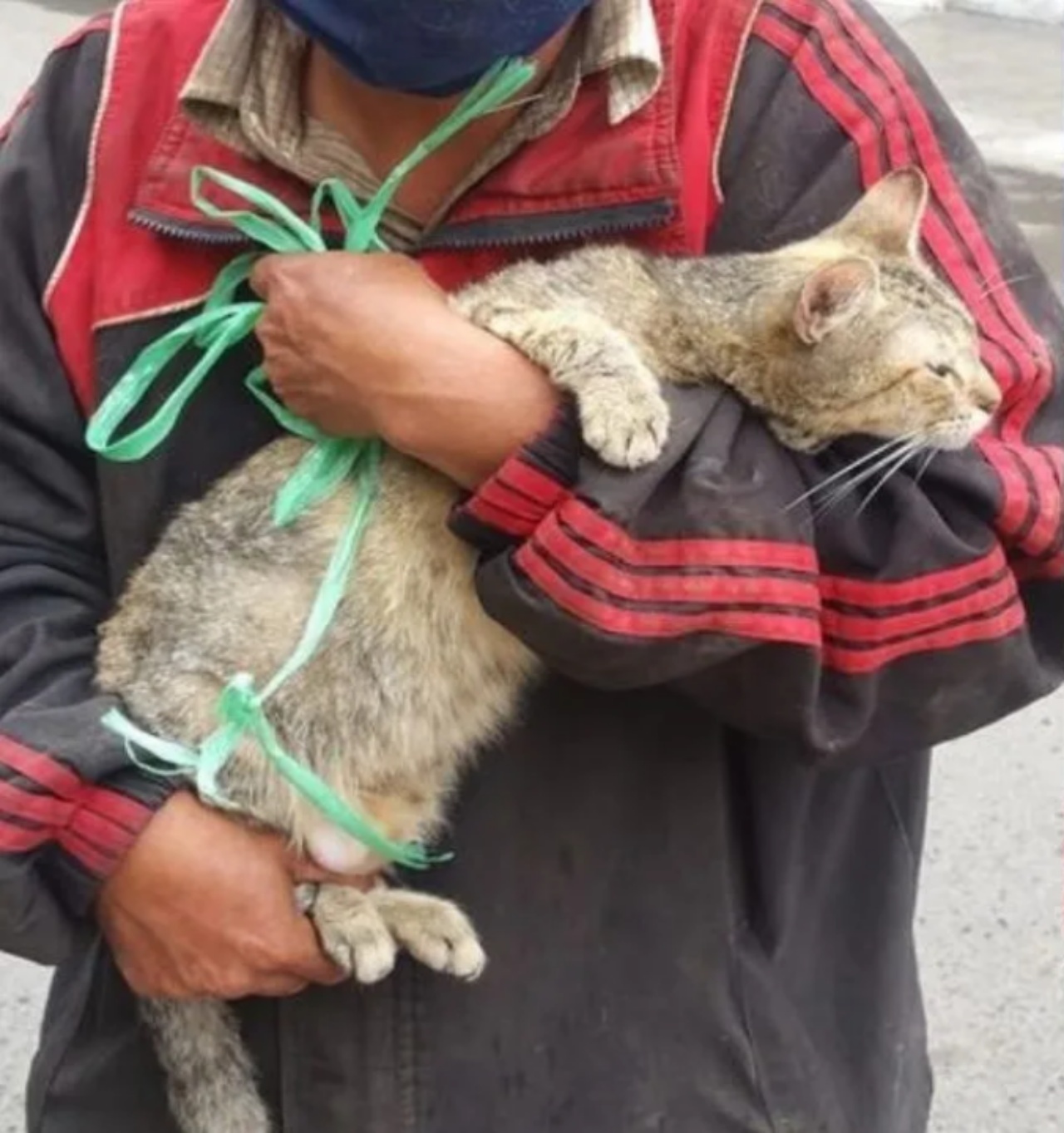 senzatetto adotta abbraccio