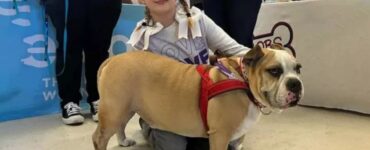 100 mila dollari è il premio vinto dalla bambina