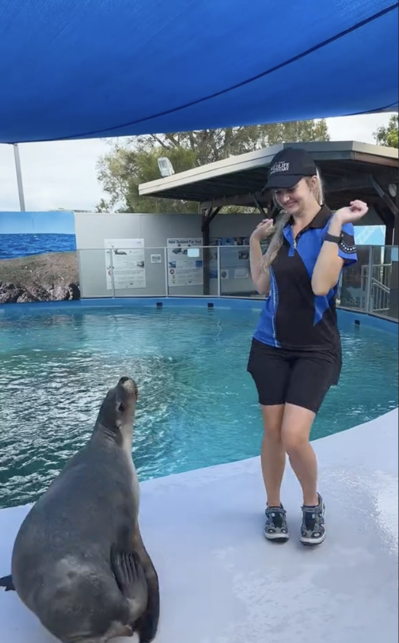 Una foca balla con l'addestratrice e spopola sul web