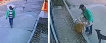 Venditore ambulante sfama due randagi