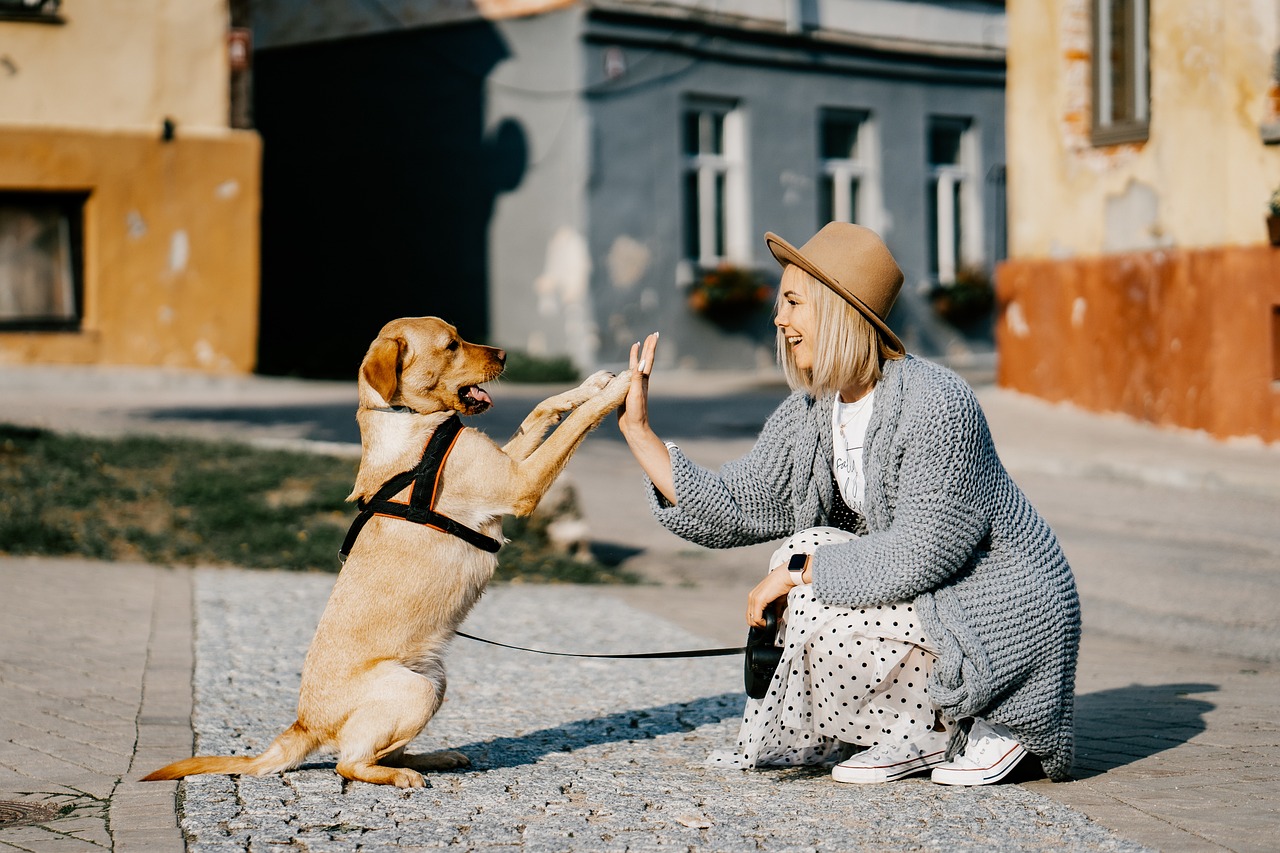 Adottare un cane: alcuni consigli