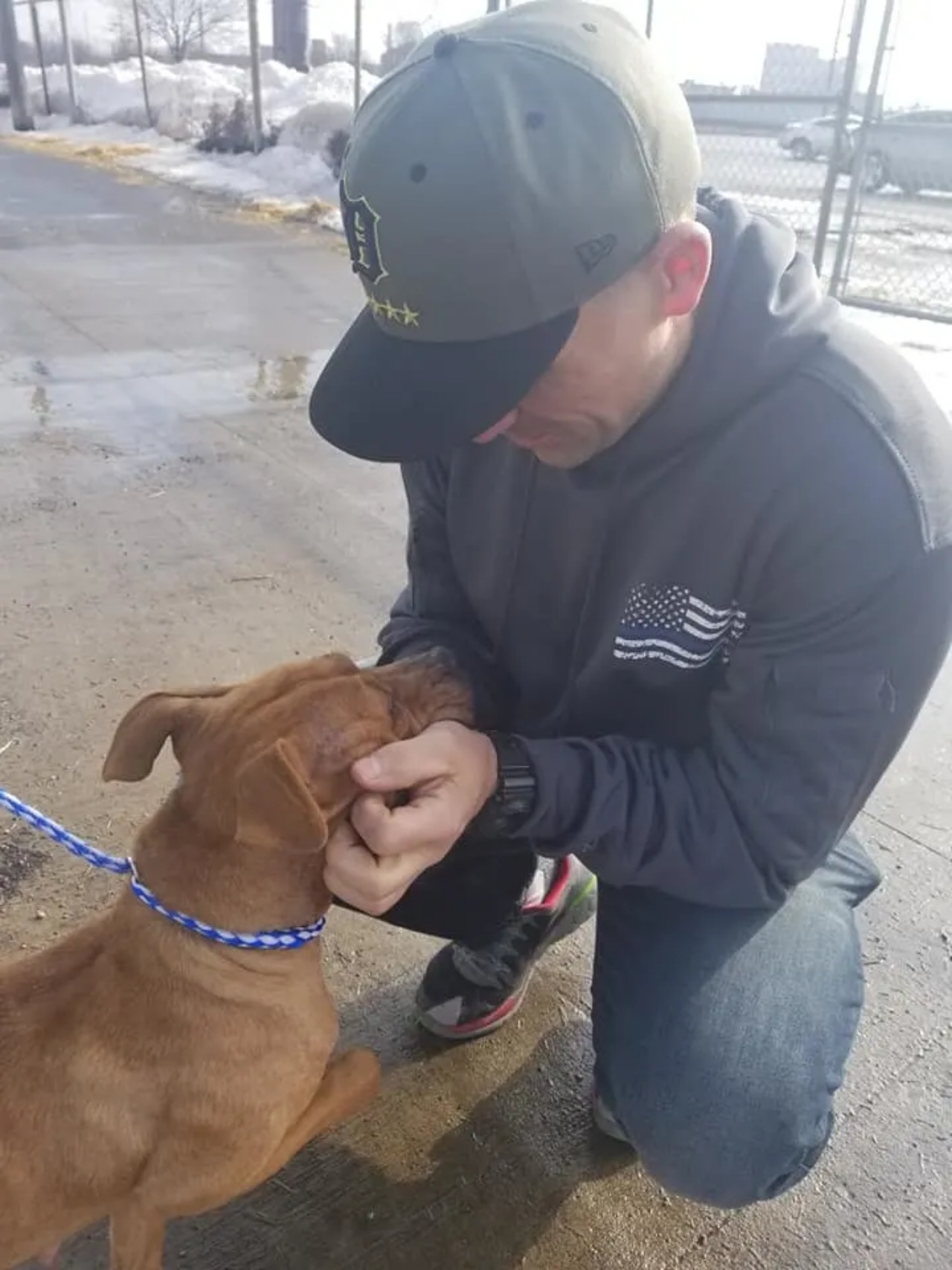 Agente di polizia salva un Pitbull