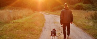 Cane e padrone: il loro legame