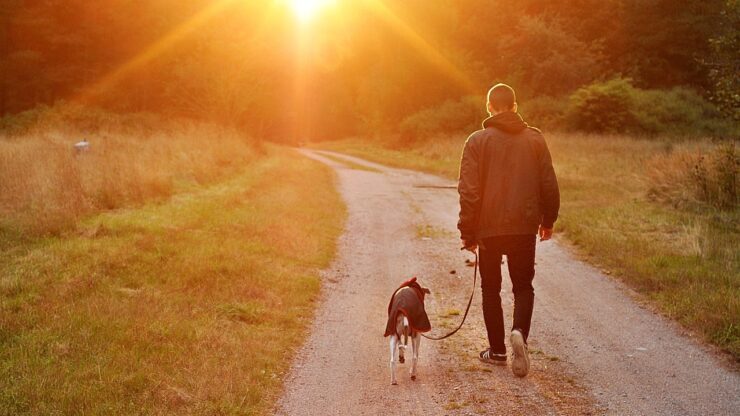 Cane e padrone: il loro legame