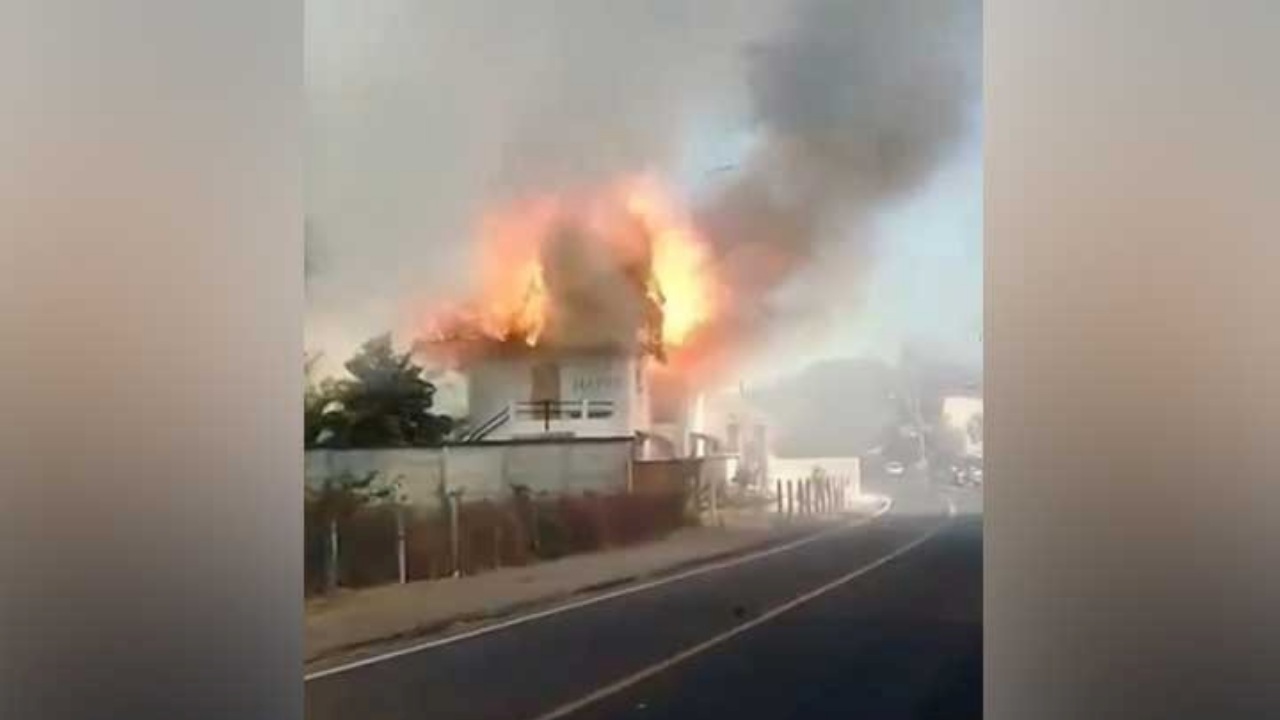 Cane muore in un incendio di un hotel