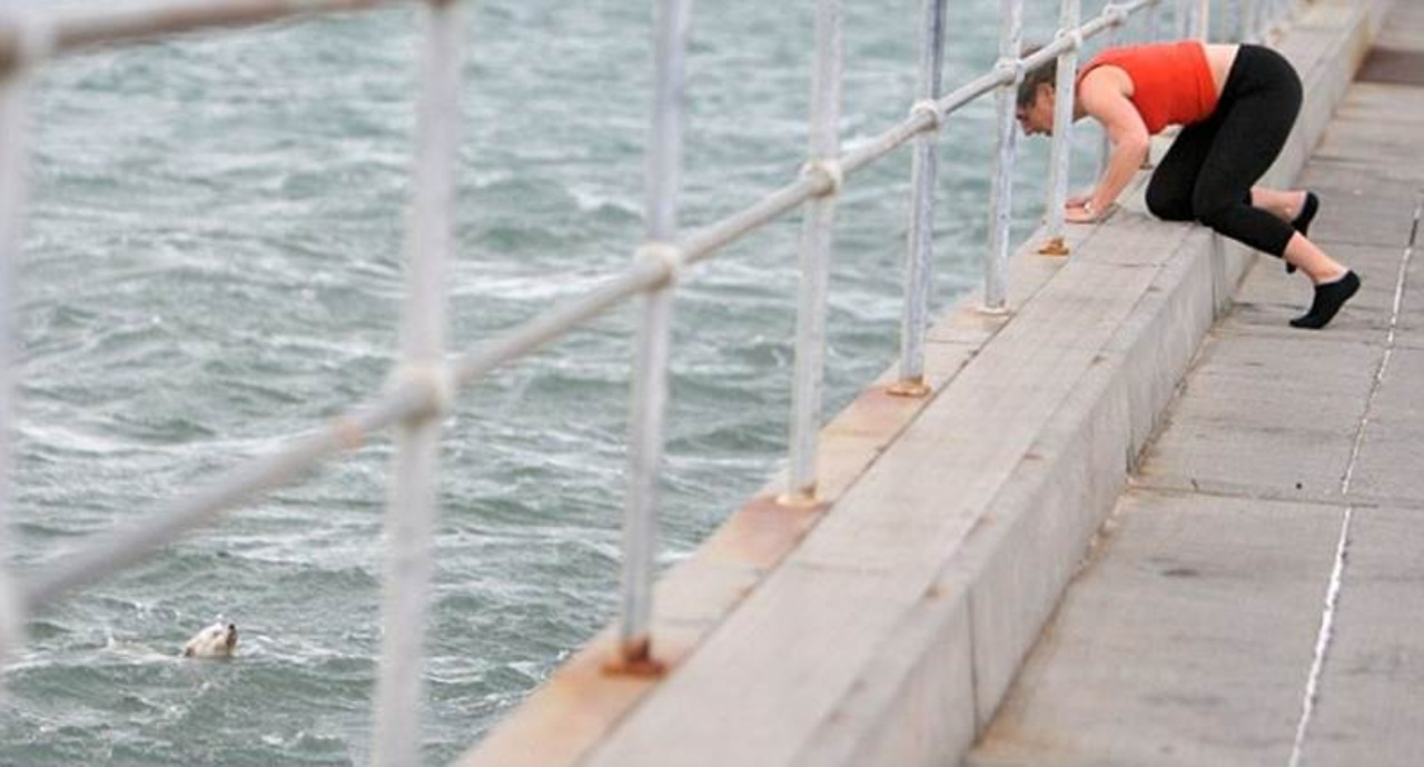 Cane rischia di annegare in mare