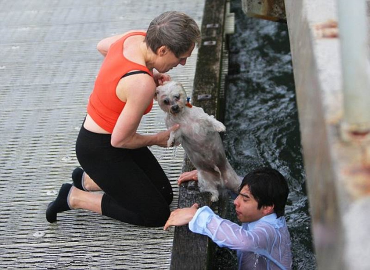 Cane rischia di annegare in mare