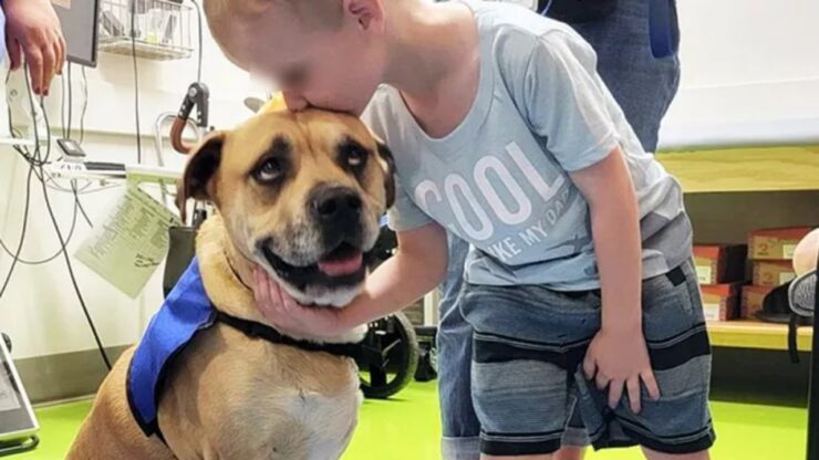 Cane da terapia per bambini