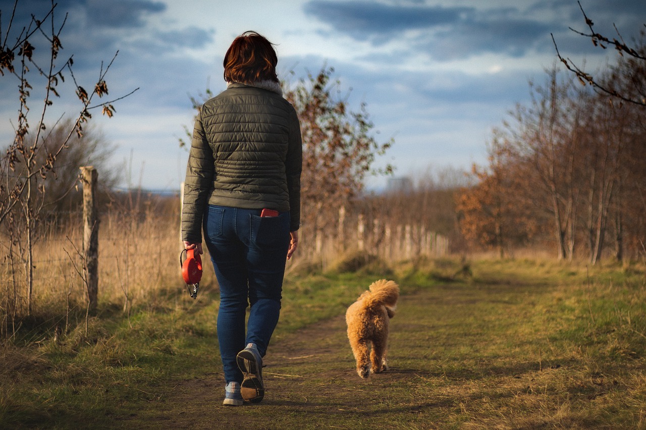 4 consigli passeggio 