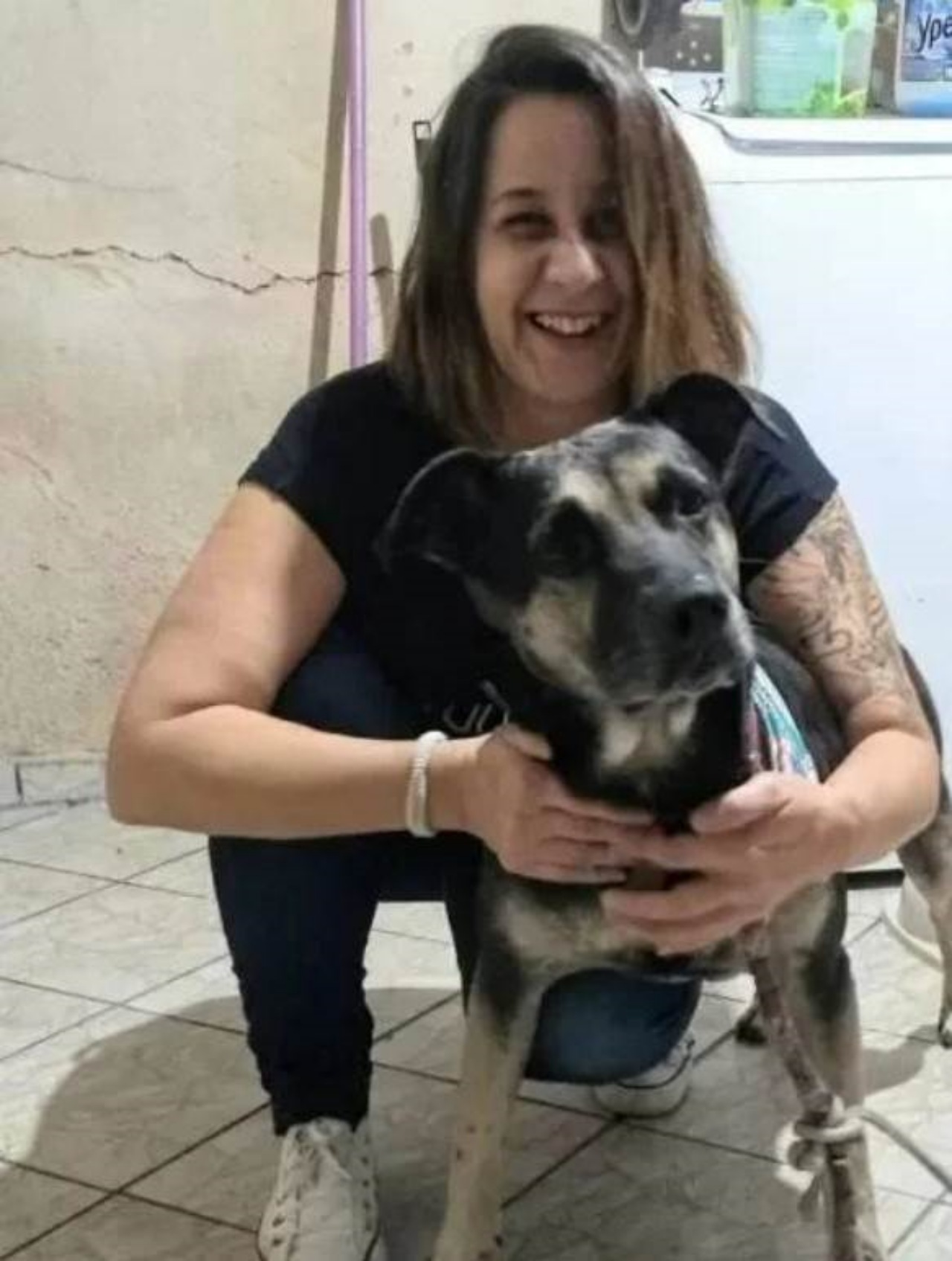 Cane vuole tornare a casa dai suoi cari