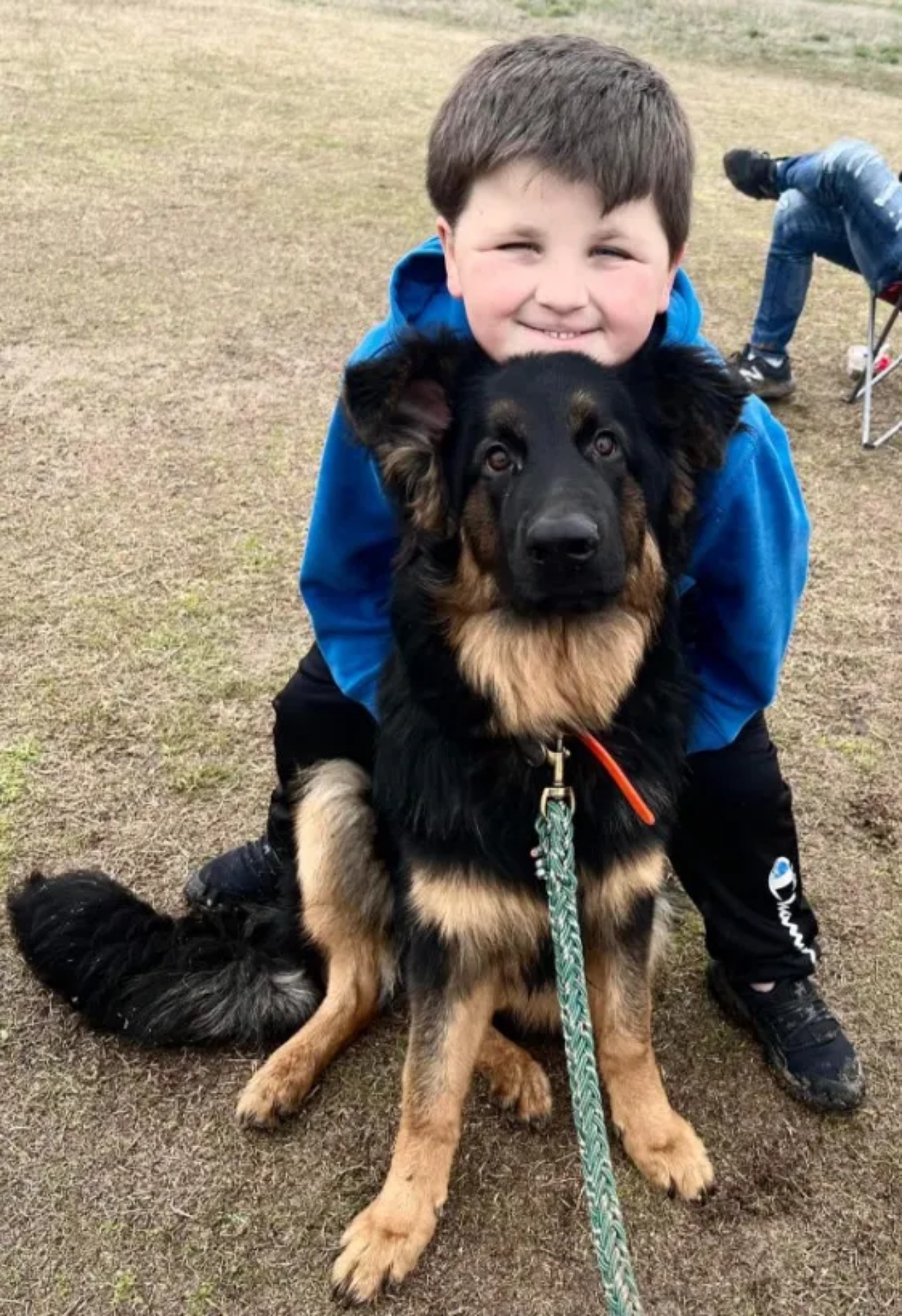 Cane veglia sul bambino