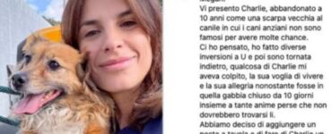 Elisabetta Canalis adotta un cane anziano