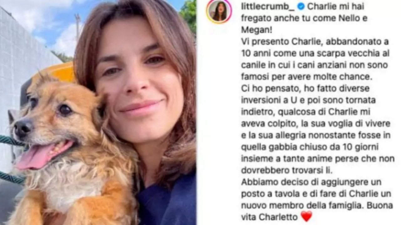 Elisabetta Canalis adotta un cane anziano