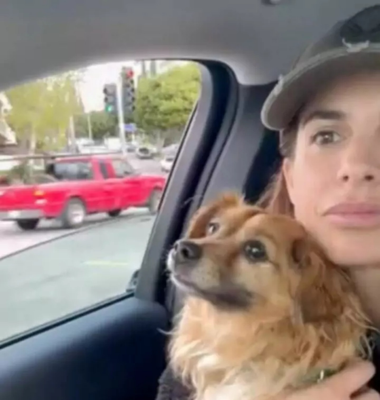 Elisabetta Canalis adotta un cane anziano