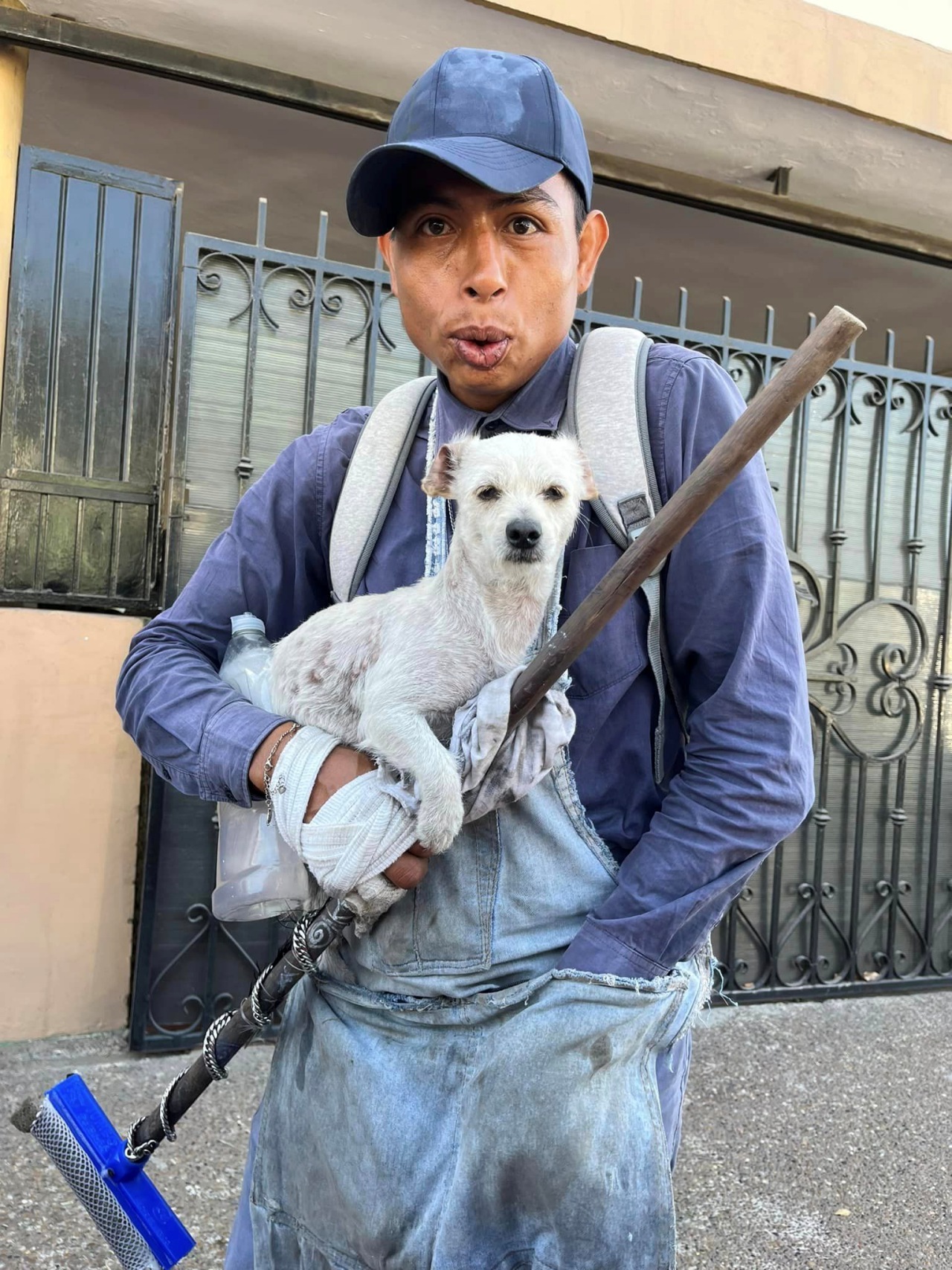 Ragazzo pulisce i vetri con il suo cane