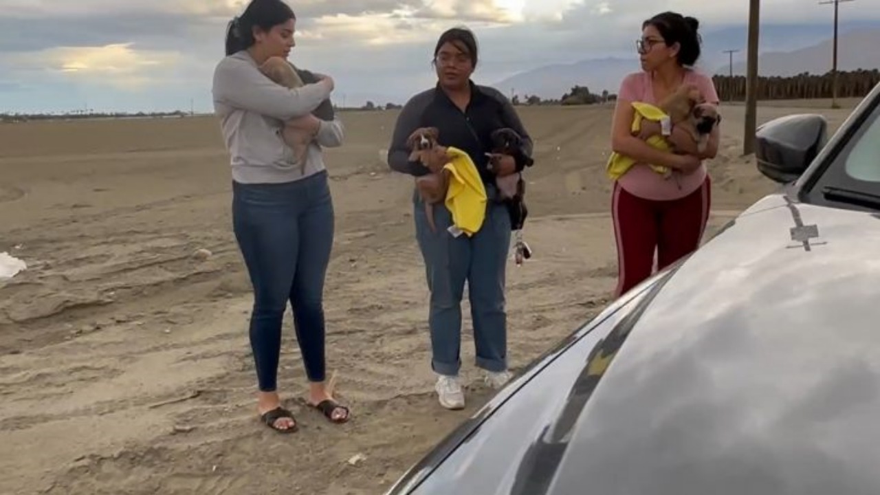 Soccorritori trovano una cesta della biancheria