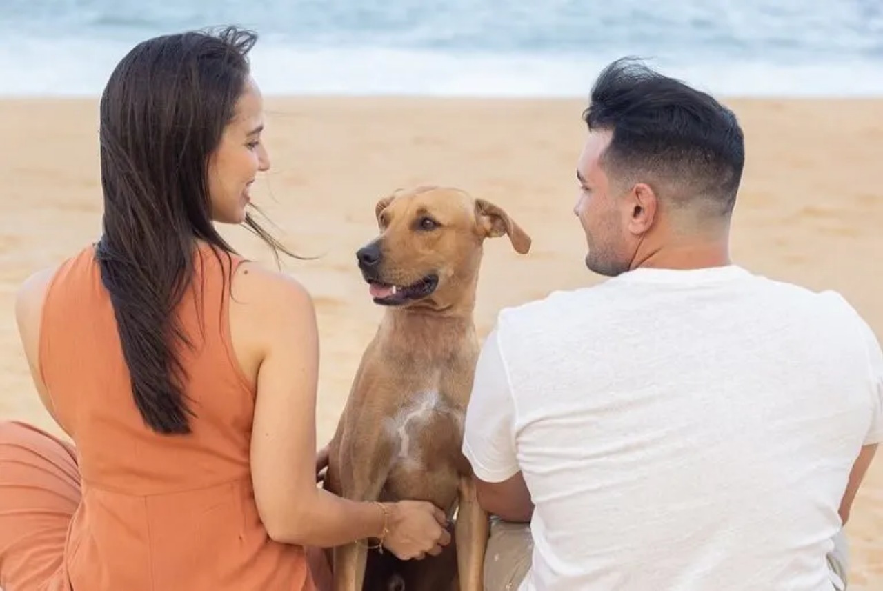 Cane randagio interrompe un matrimonio