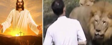 Pastore entra nella gabbia dei leoni