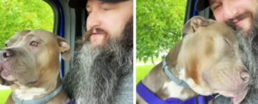 Cane fedele abbraccia il suo papà