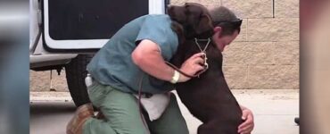 Cane maltrattato trova conforto in un detenuto