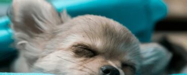 4 modi sonno