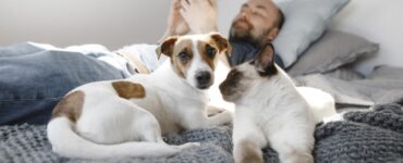 Dormire con il tuo amico a quattro zampe